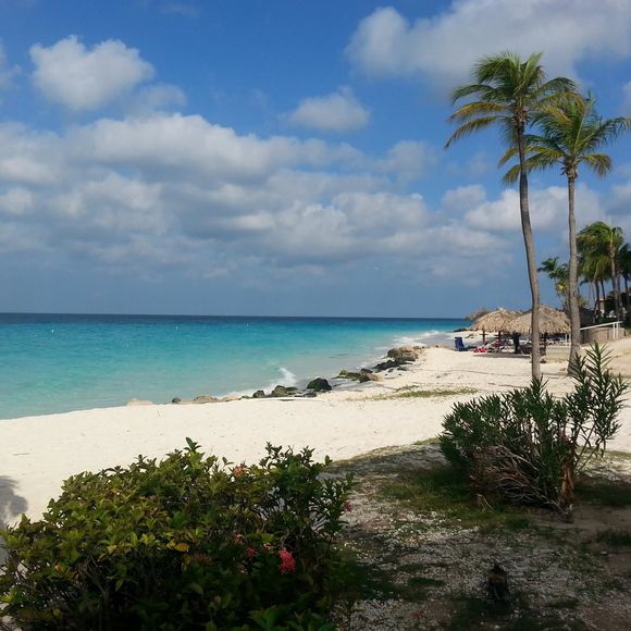 Meet your Posher, Britt - Picture 1 of 1